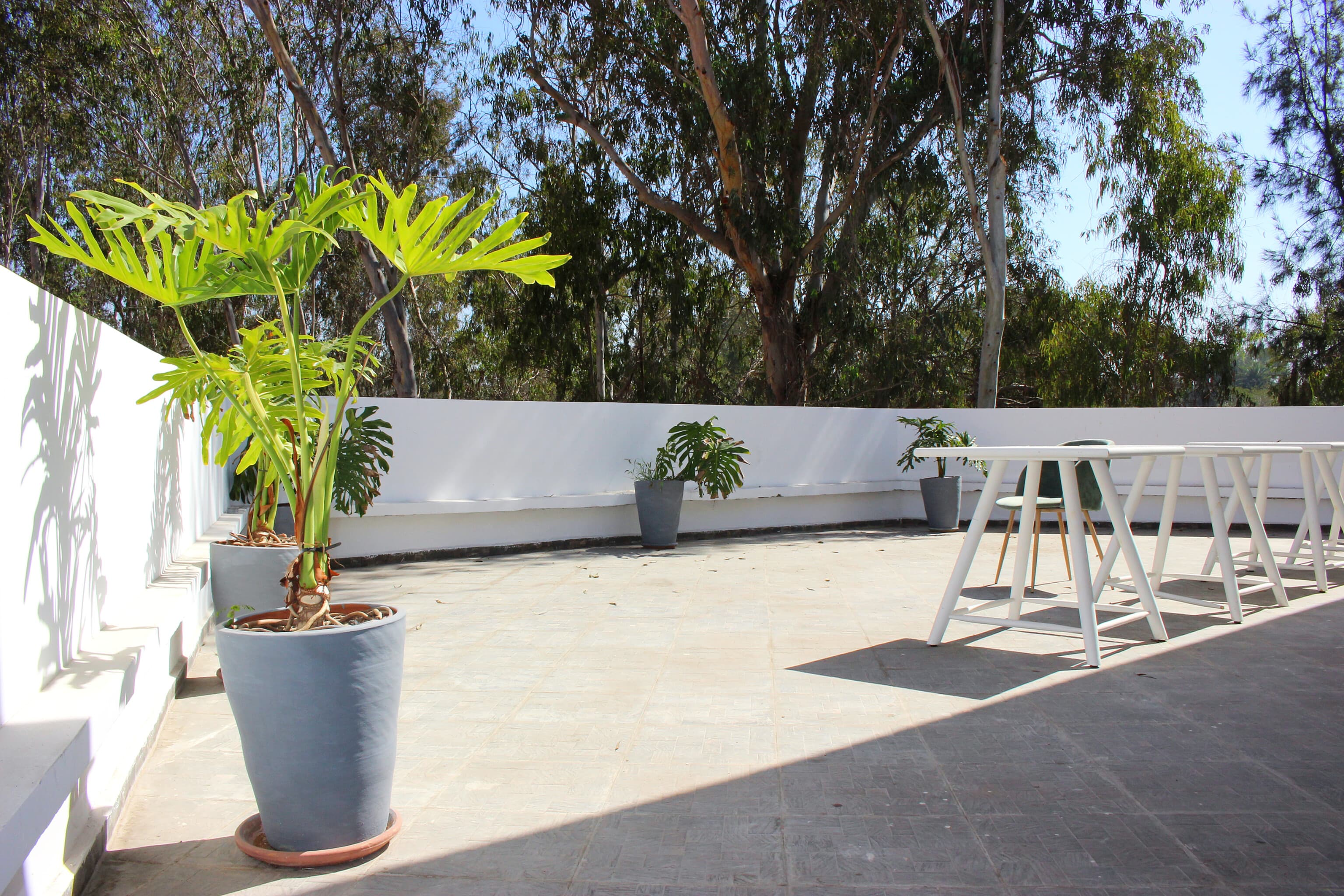 Slider Image 8
